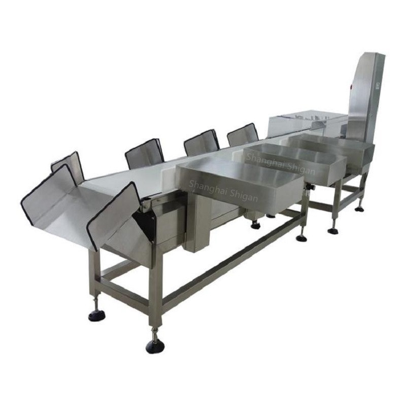 Professional Dynamic Check weigher Manufacturer